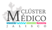World Health Summit